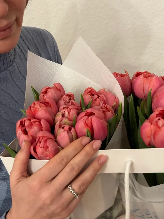 Rosa Tulpen in weißem Papier